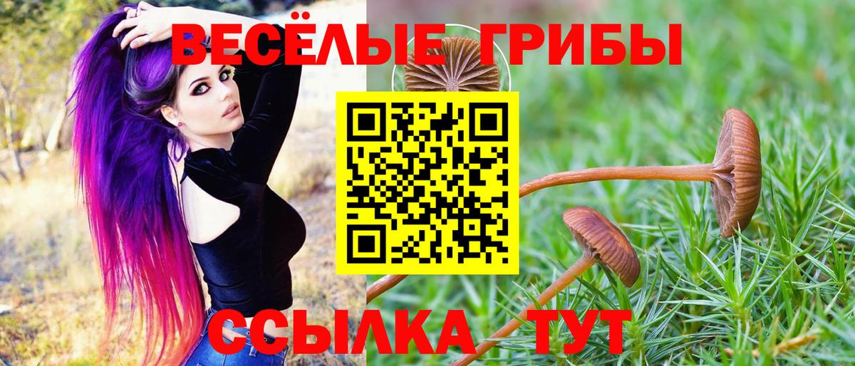 Псилоцибиновые грибы прущие грибы Тулун