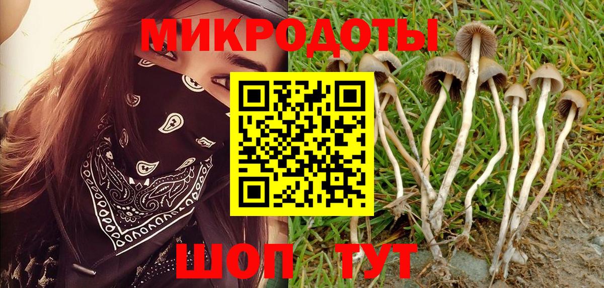 Тулун  Псилоцибиновые грибы Psilocybe  Вход с VPN 